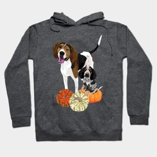 Coonhound Fall 1 Hoodie